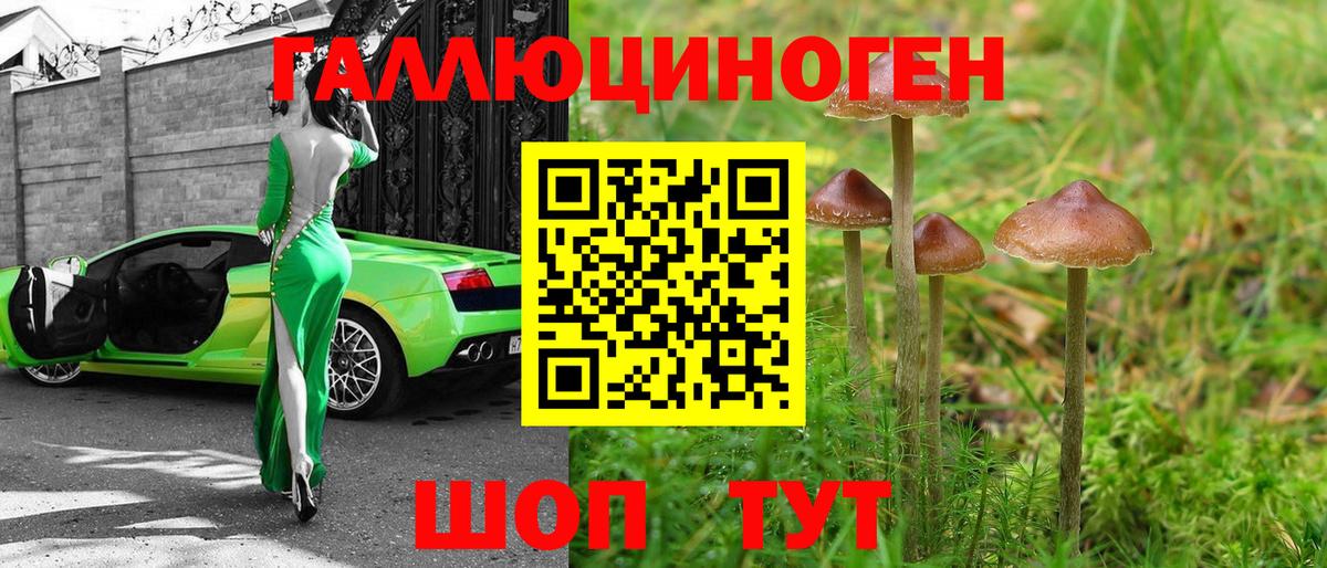 Сатка  Псилоцибиновые грибы Psilocybe  Вход с VPN 